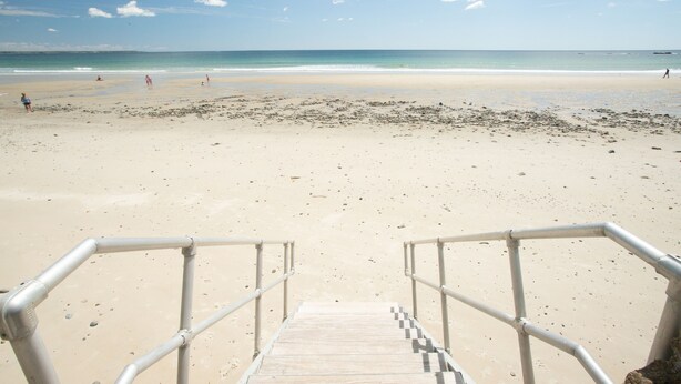 Una playa con una escalera metálica que lleva a la orilla, arena y el océano.