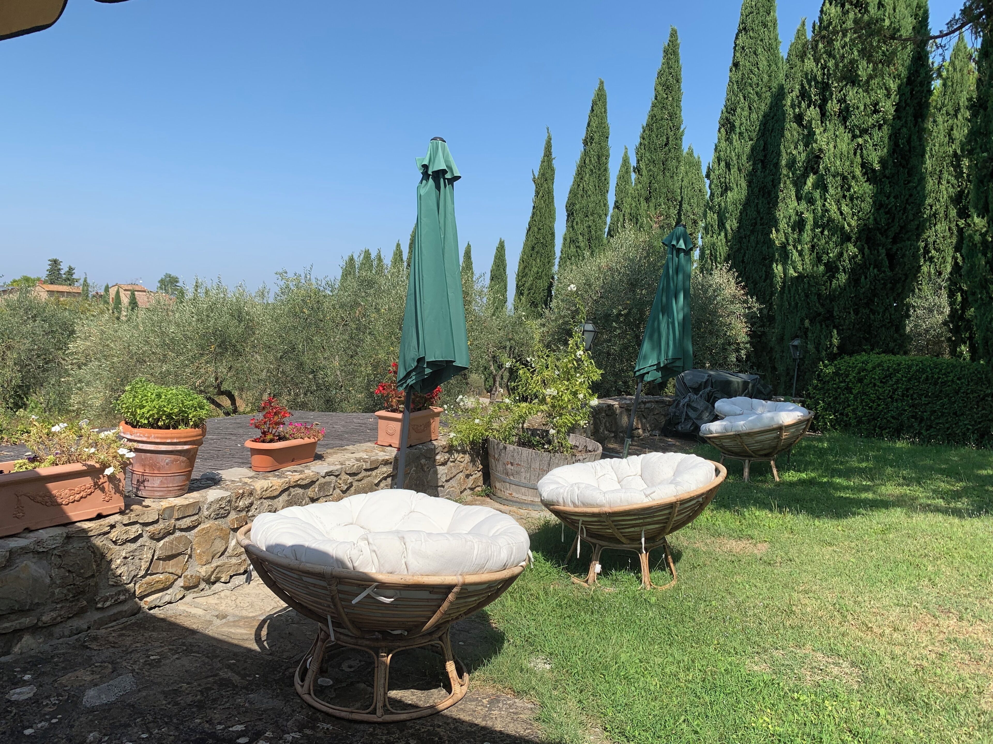 A garden with two wicker chairs and a table, surrounded by potted plants and tall trees.