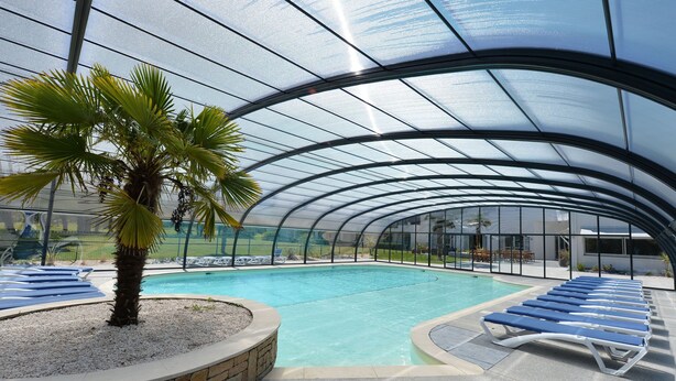 Una piscina cubierta con sillas de descanso y una palmera.