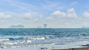 Paisaje costero con olas, un crucero distante y edificios altos.