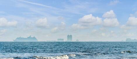 بالقرب من الشاطئ