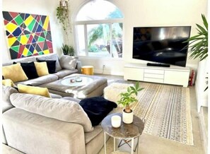 TV connectée, cheminée, Netflix, livres