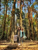 Un bosque con árboles altos y un cielo despejado.