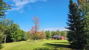 A grassy field with a red building and a tree with pink leaves.