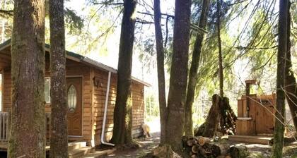 Huckleberry Cabin near La Push beaches