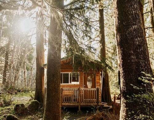 Huckleberry Cabin near La Push beaches