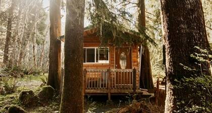 Huckleberry Cabin near La Push beaches