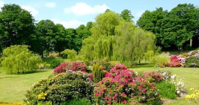 Luxury House Near City Center Hospital & Superstore