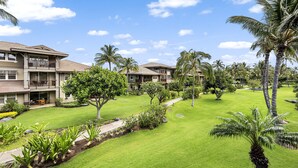 Una zona residencial con varias casas de dos pisos, un césped cuidado y palmeras.