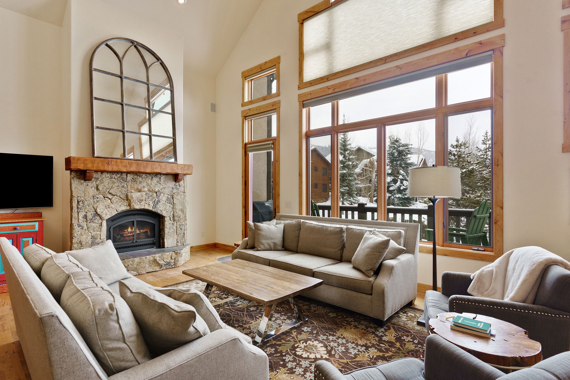 Smart-tv, pejs, bøger