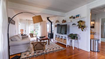 TV connectée, cheminée, livres