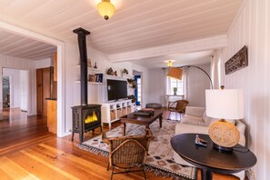 Smart TV, chimenea, libros