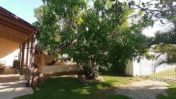 Esterni
