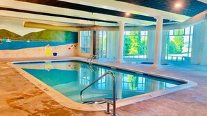 An indoor swimming pool with clear water, a metal ladder, and a view of greenery through large windows.
