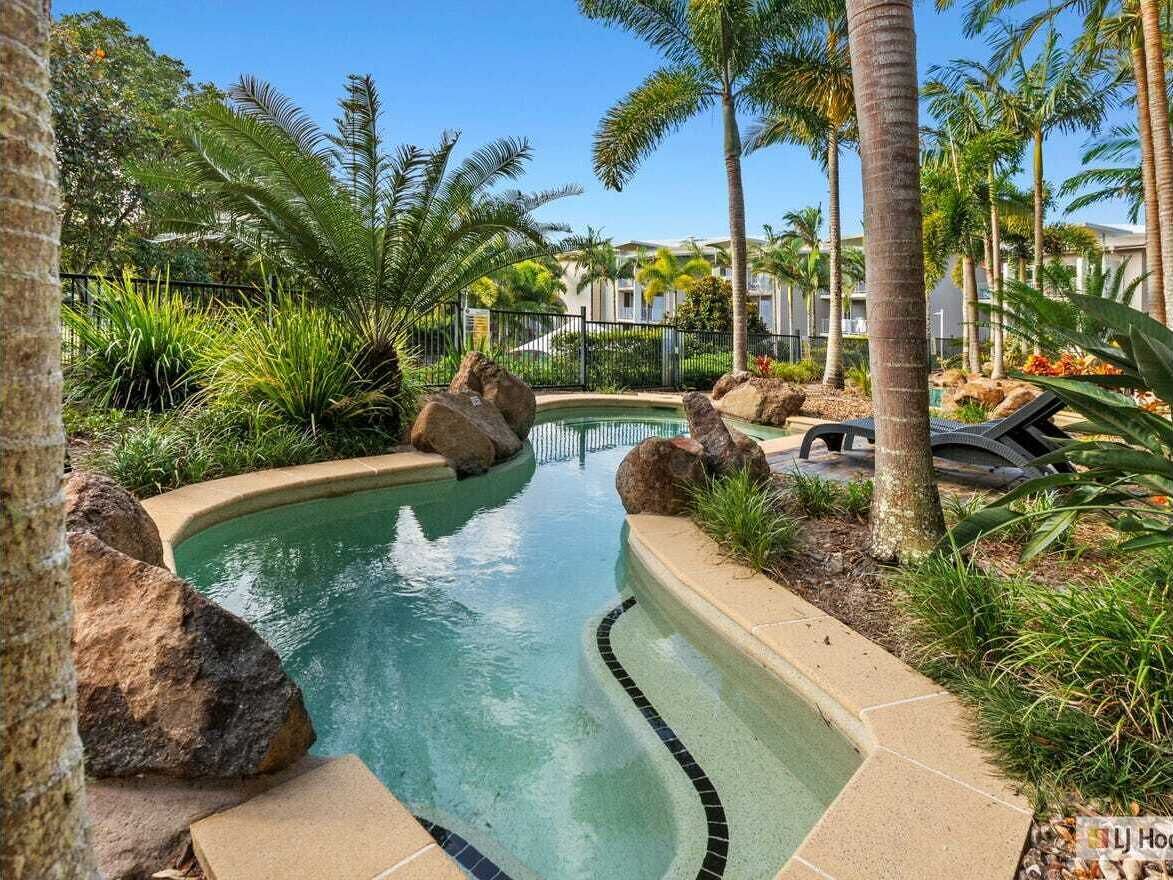 A swimming pool with a curved edge, surrounded by rocks and palm trees.