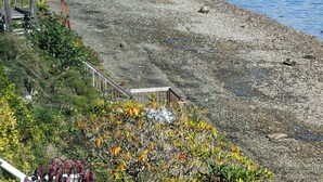 Zona costera con playa rocosa, un muelle de madera y una colina boscosa al fondo.