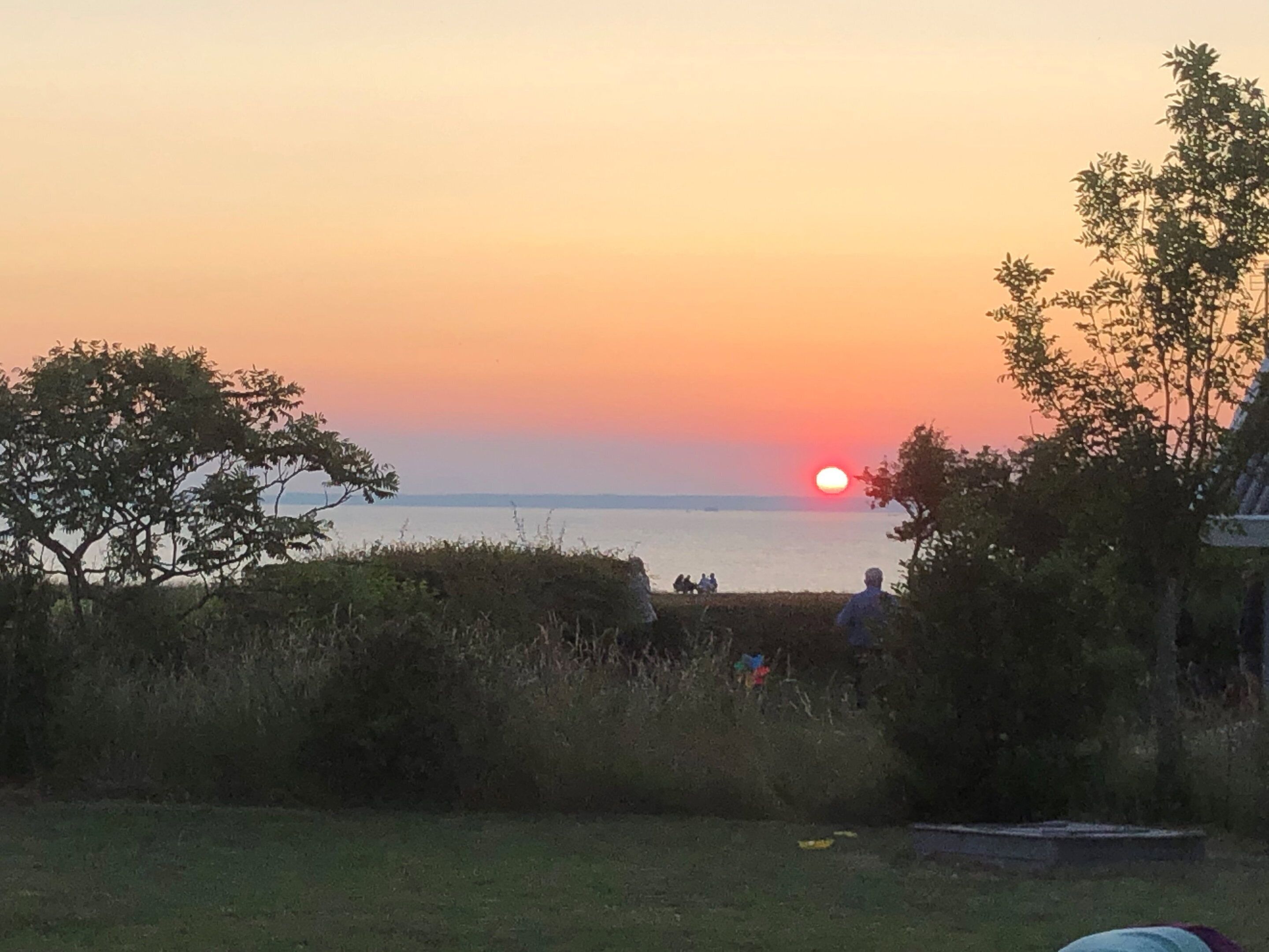 Un coucher de soleil sur une étendue d’eau, avec un paysage verdoyant au premier plan et des arbres.