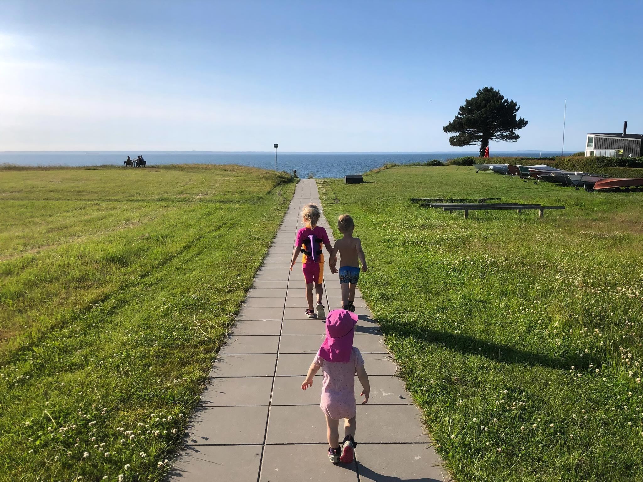A paved pathway leading to a body of water, with grass on either side and a tree in the distance.