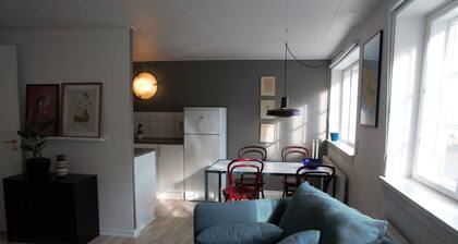 Cozy apartment in old farm