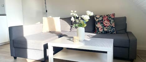 Televisión y tenis de mesa