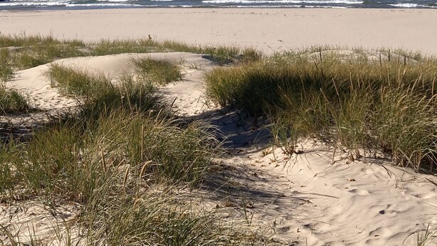A beach with a lighthouse and pier extending into the ocean. - Harbor Escape- Minutes to beaches, Arts District, Harbor Shores & St Joseph (Benton Harbor)