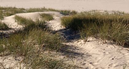 Harbor Escape- Minutes to beaches, Arts District, Harbor Shores & St Joseph