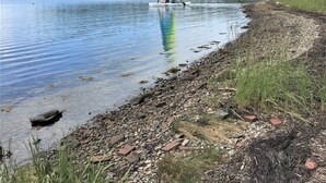 A calm lake with a sailboat, surrounded by a forested shoreline and a clear sky. - Beachfront Guest Cottage in Antigonish (Antigonish)