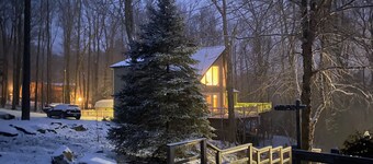 Spacious family-friendly chalet w/fenced dog run & large deck near the lake/Wisp