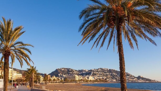 A coastal promenade with palm trees, a beach, and buildings in the background. - IN THE CENTER OF THE TOWN, 50m FROM THE BEACH AND THE ROSES MARITIME CORNER. (Roses)
