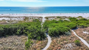Une plage avec un chemin dégagé menant à l’eau, entourée d’une végétation luxuriante.