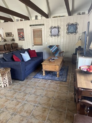 Smart TV, fireplace, DVD player, video library