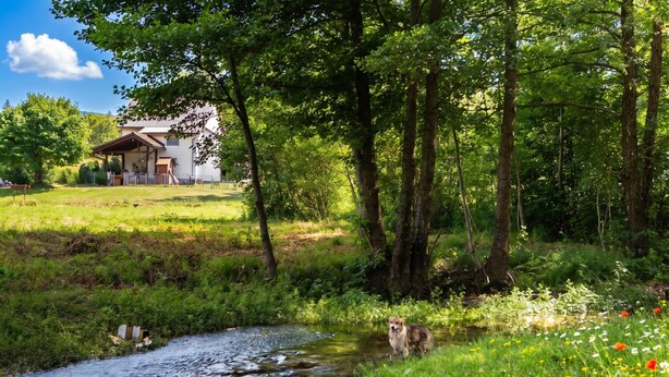 A house with a covered porch, surrounded by lush greenery and a stream.