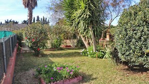 Een tuin met diverse planten en bloemen, een palmboom en een hek.