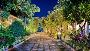 Um caminho pavimentado, ladeado por vegetação exuberante e iluminado por luzes de Natal, conduz a um edifício.