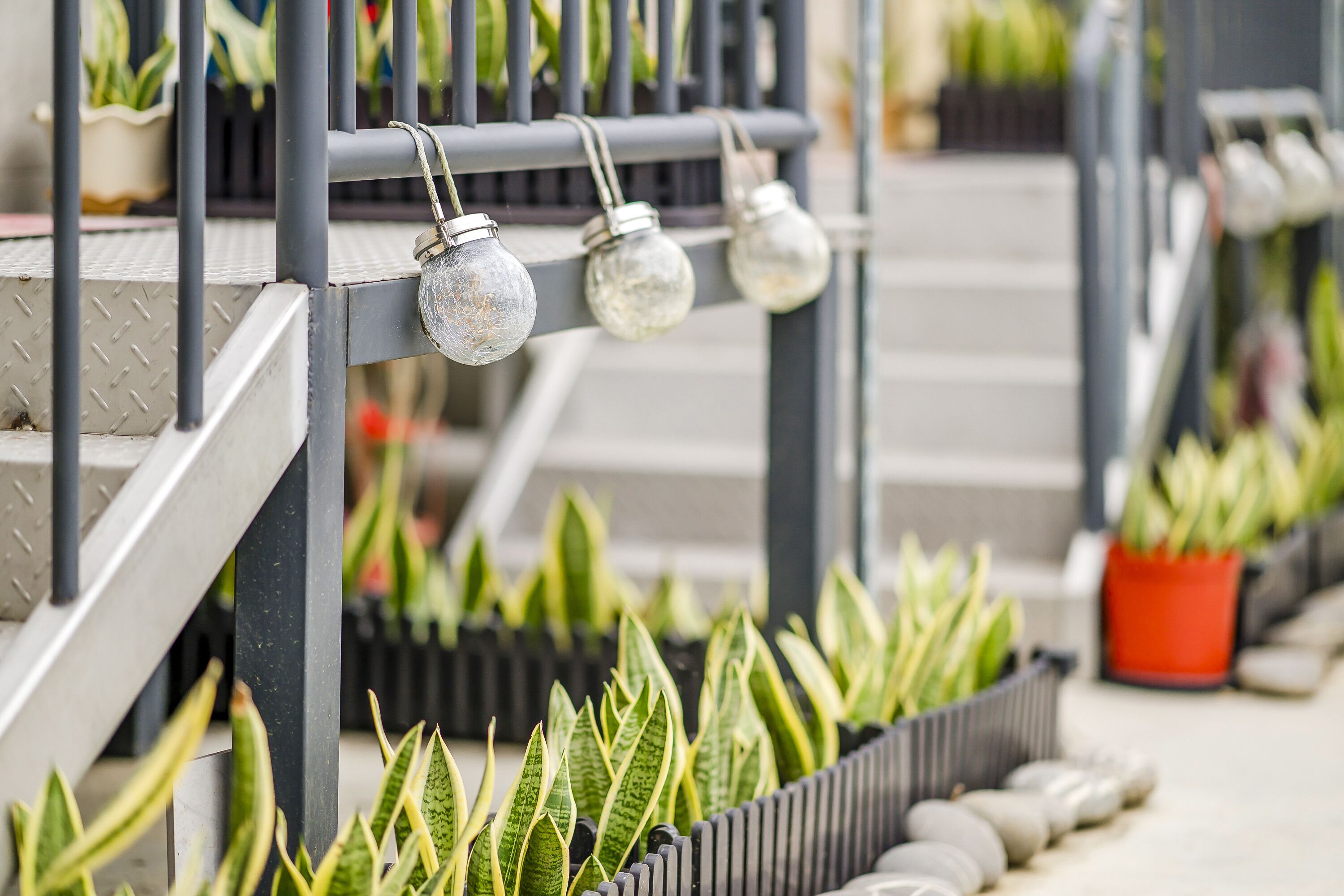 A plant nursery with rows of potted plants and hanging decorative lights.