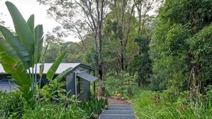 A pathway leading to a small, modern building surrounded by lush greenery and tall trees. - Studio 59 - Byron Hinterland. (Myocum)