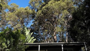 A modern house with a flat roof, large windows, and a balcony with outdoor seating. - Studio 59 - Byron Hinterland. (Myocum)