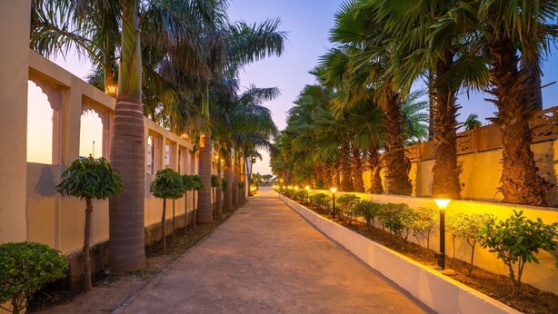 A pathway lined with palm trees and small shrubs, leading towards a building with arches and a white wall. - Gharial Bagh Resort (Sawai Madhopur)