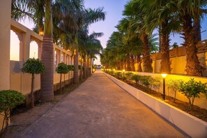 A pathway lined with palm trees and small shrubs, leading towards a building with arches and a white wall. - Gharial Bagh Resort (Sawai Madhopur)