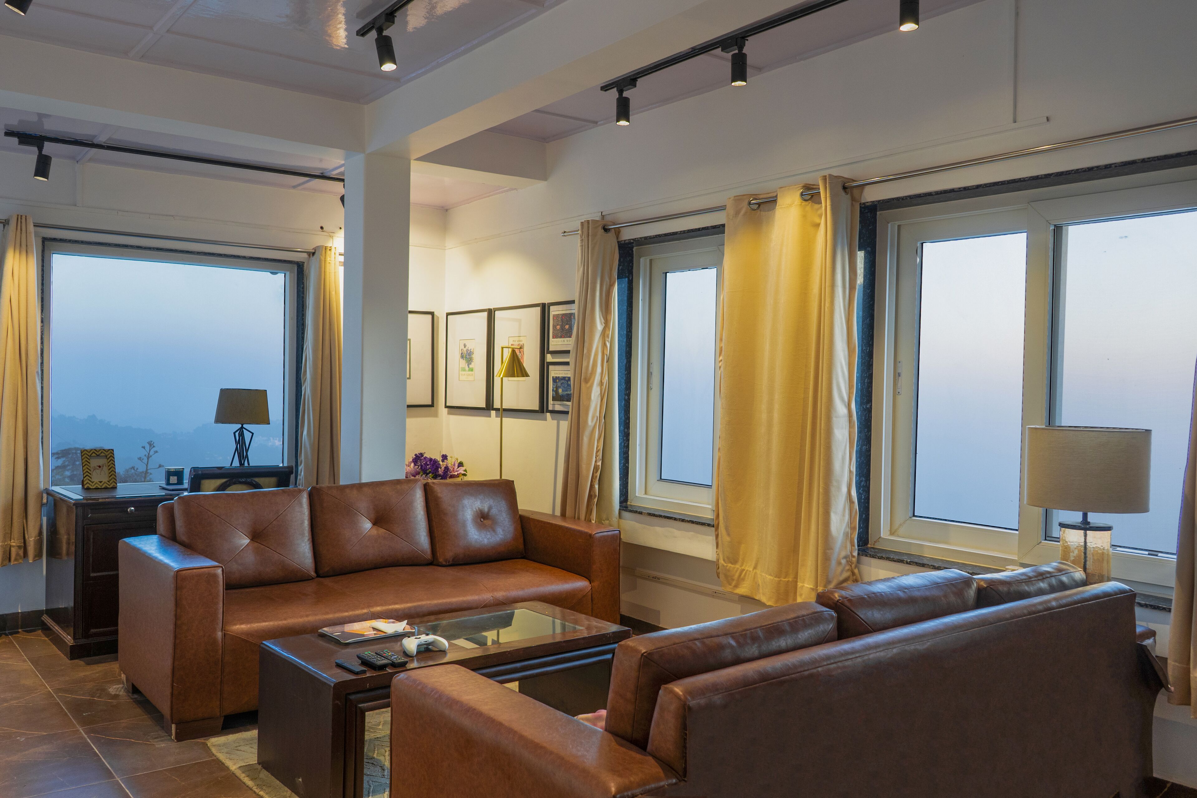 TV, fireplace, books, music library