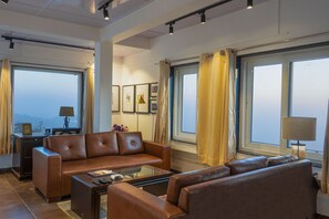 TV, fireplace, books, music library