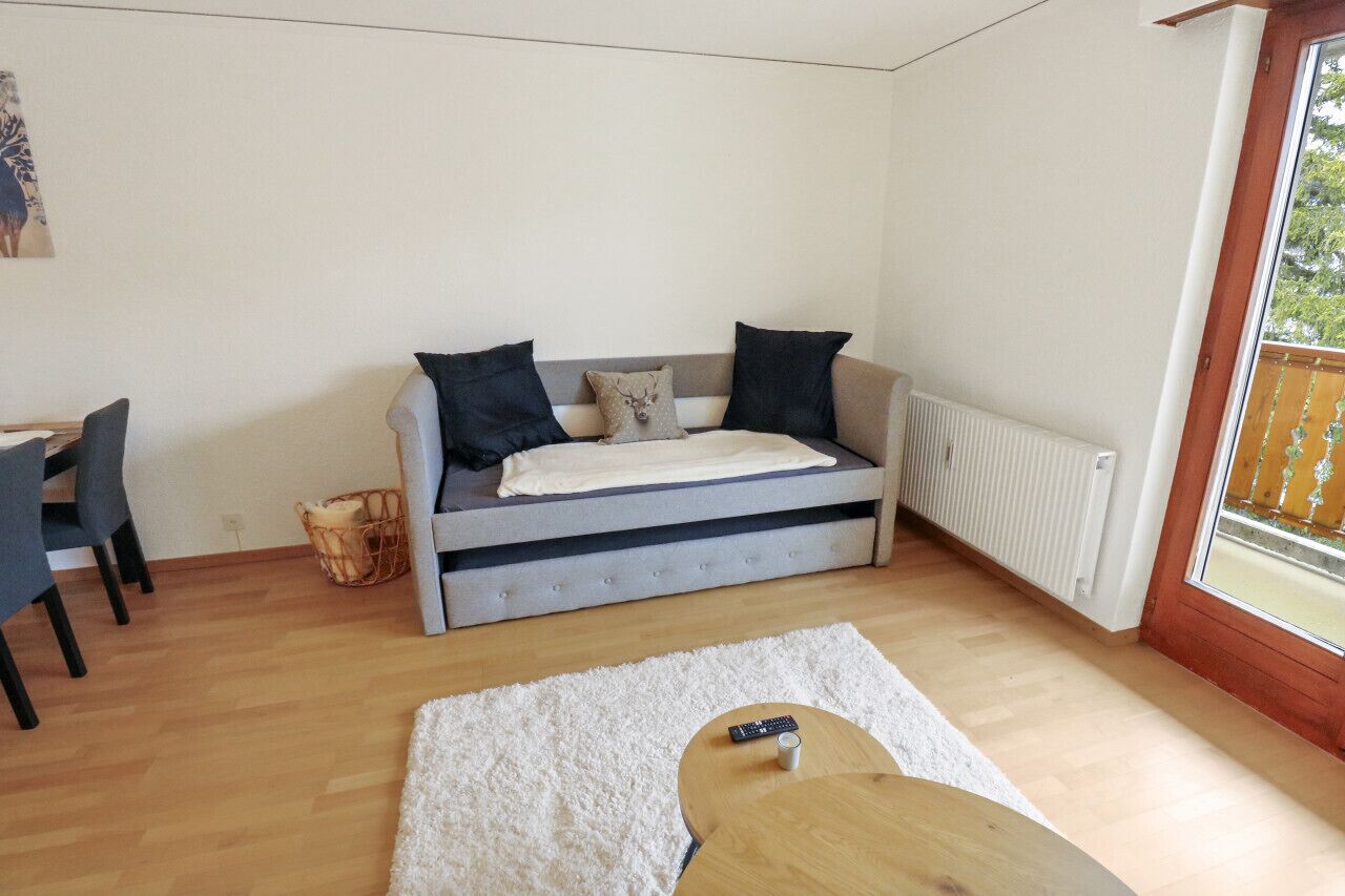 Een knus kamertje met een grijze bank, een witte vloerkleed en een houten tafel.