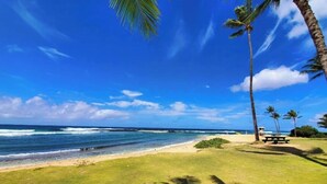 Ein Strand mit blauem Himmel, Meereswellen und Palmen.