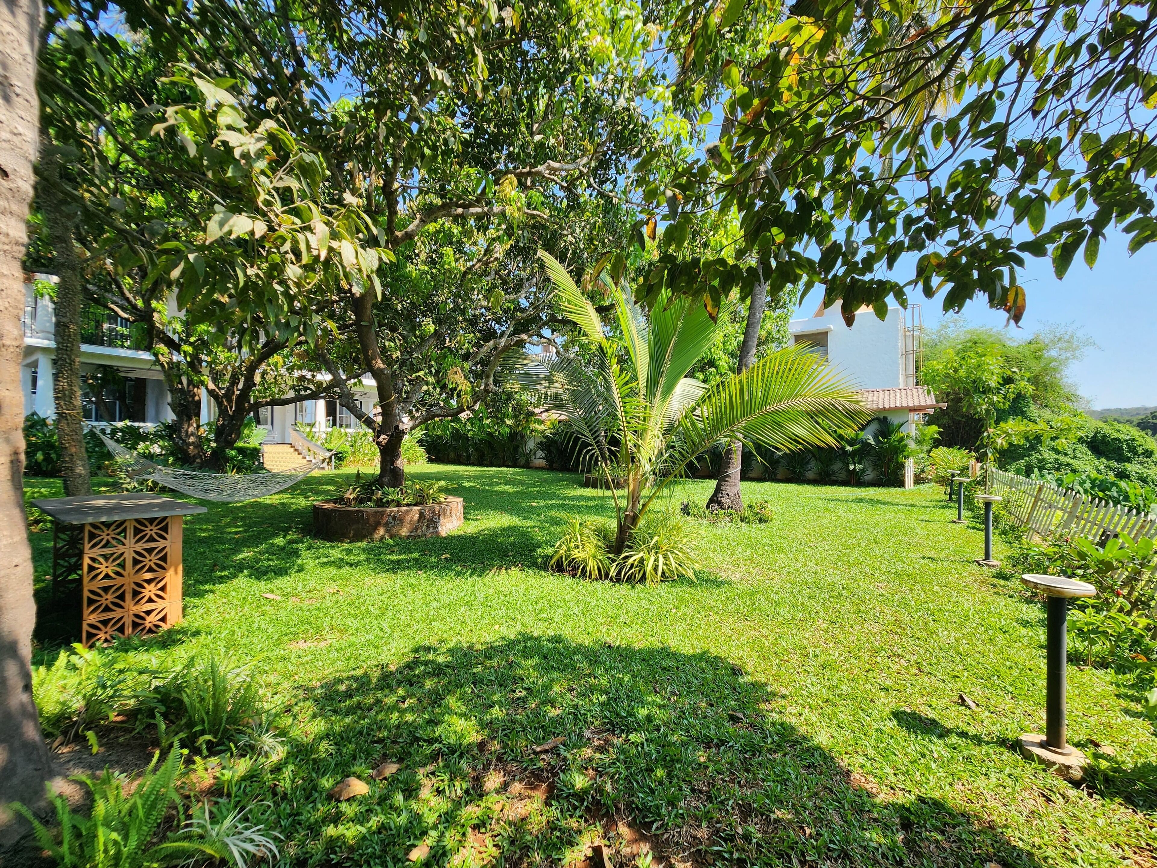 A well-maintained garden with a hammock, a small wooden structure, and a variety of plants.
