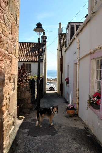 Dooker's Nook- Quirky coastal cottage, Pittenweem