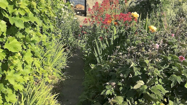 Un sendero en un jardín que lleva a un muro de piedra con vista al mar.