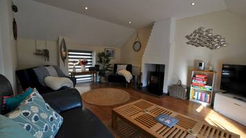 Televisión y libros