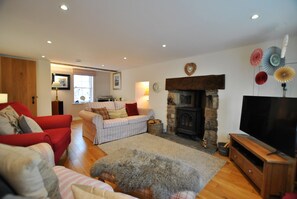 Televisión, chimenea