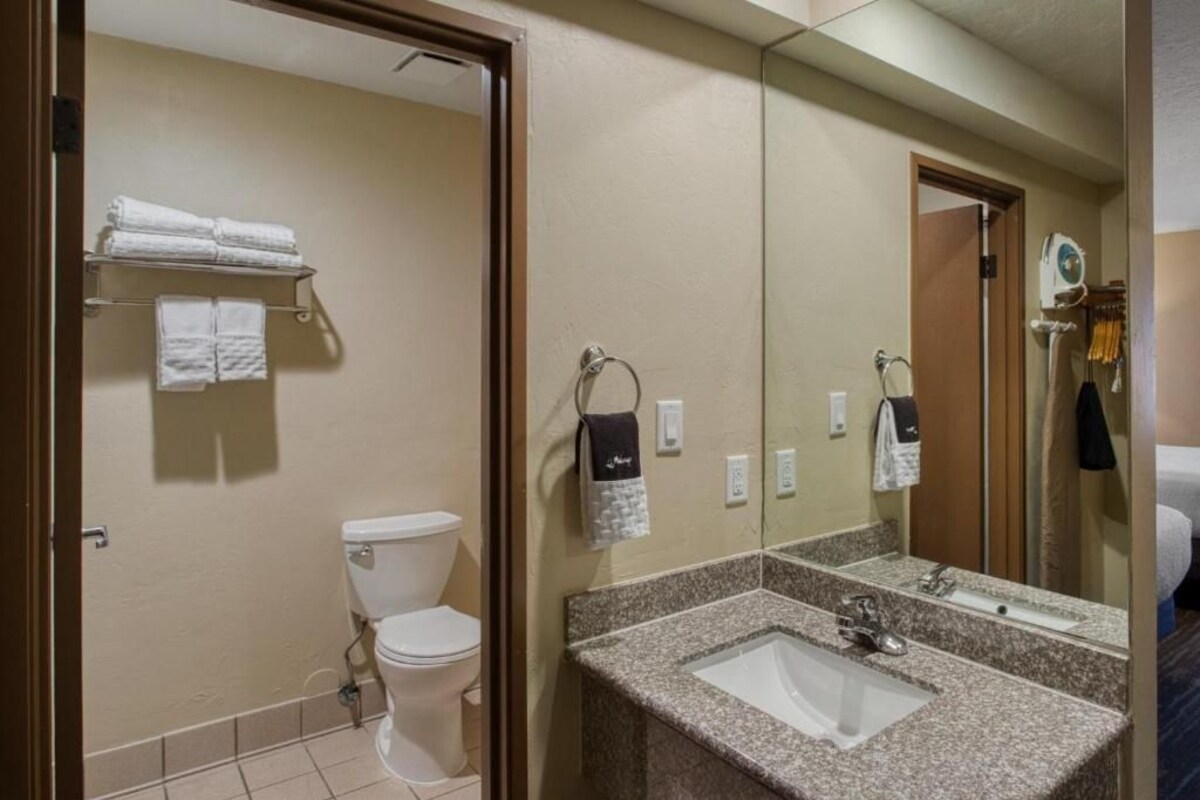 A bathroom with a toilet, a sink, a mirror, and towels on a rack.