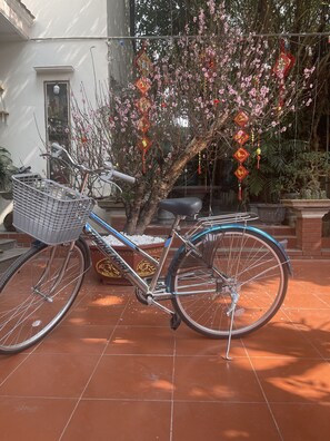 Courtyard - Sen's homestay (Hoa Lu)